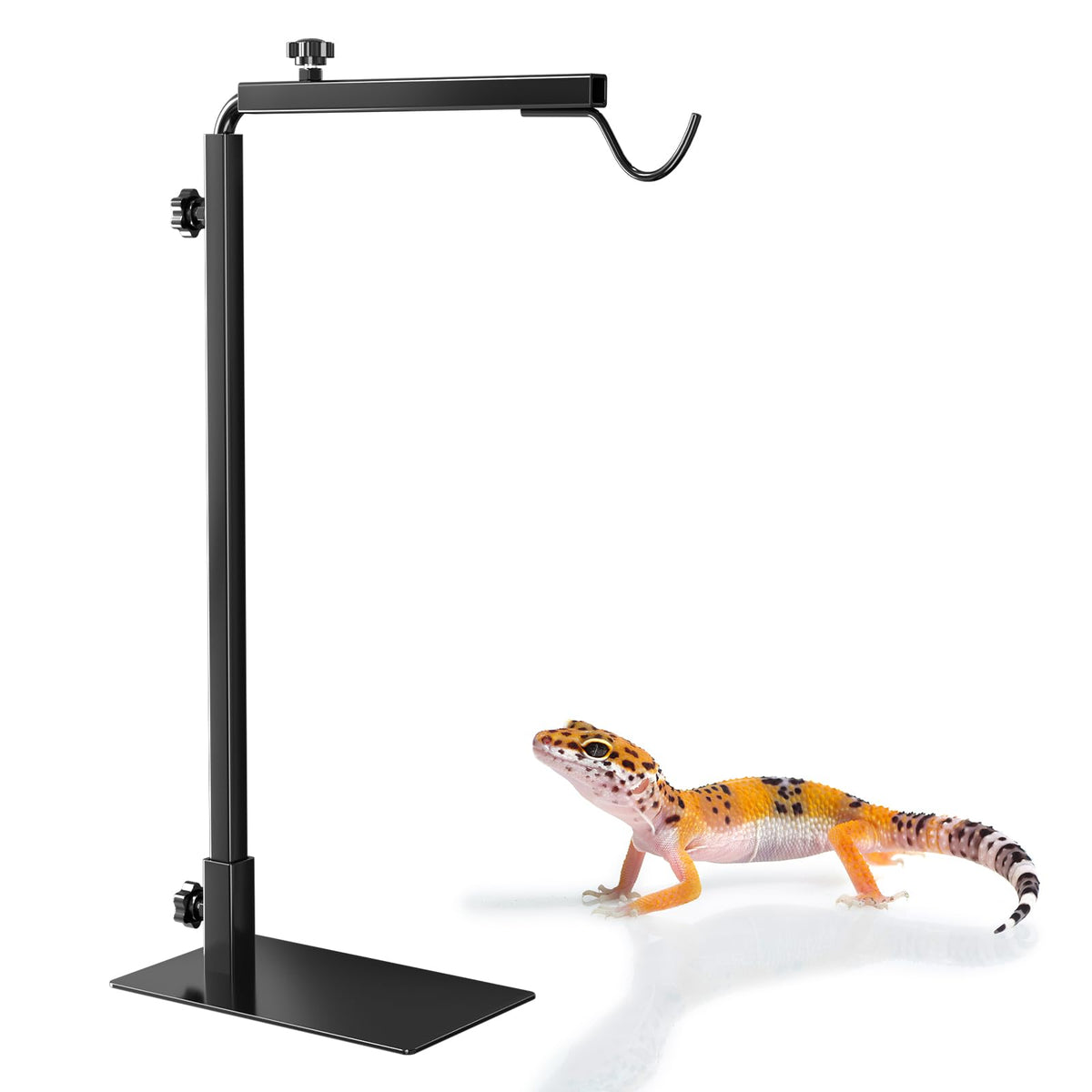 Sürüngen Lamba Standı