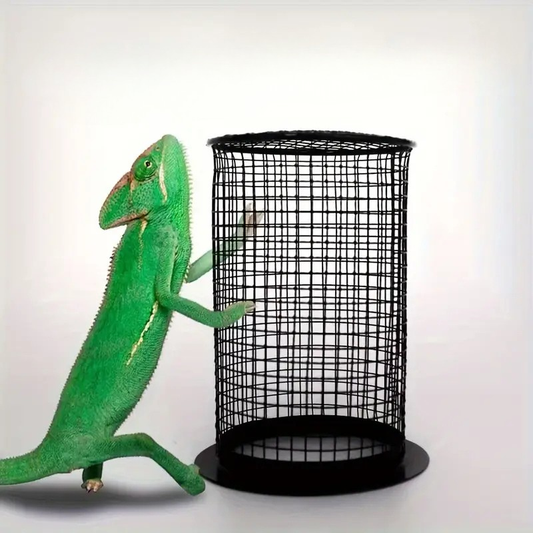 Lucky Herp Sürüngen Isıtıcı Lamba Koruyucu | (Anti Scald)