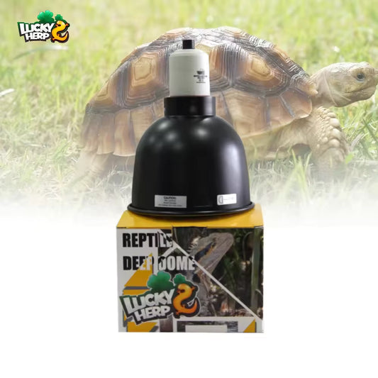 Lucky Herp 5.5 İnç Sürüngen Lamba Duyu / Armatürü